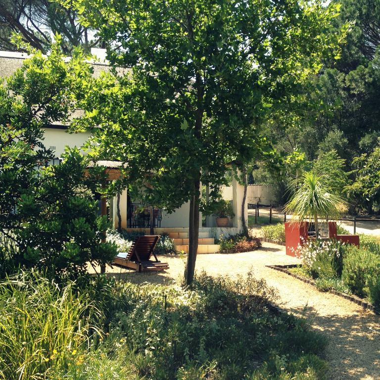 Mooi Bly Villa Paarl Cameră foto