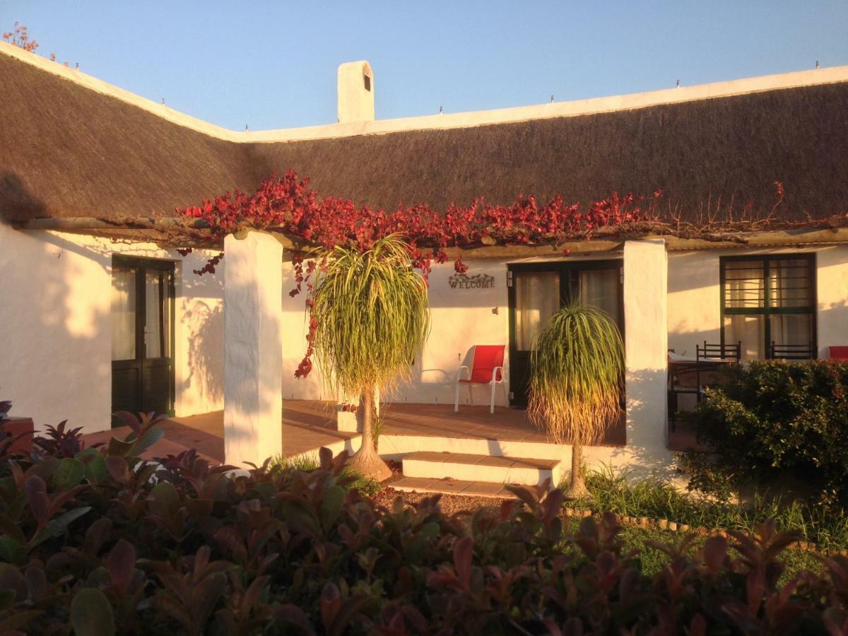 Mooi Bly Villa Paarl Exterior foto