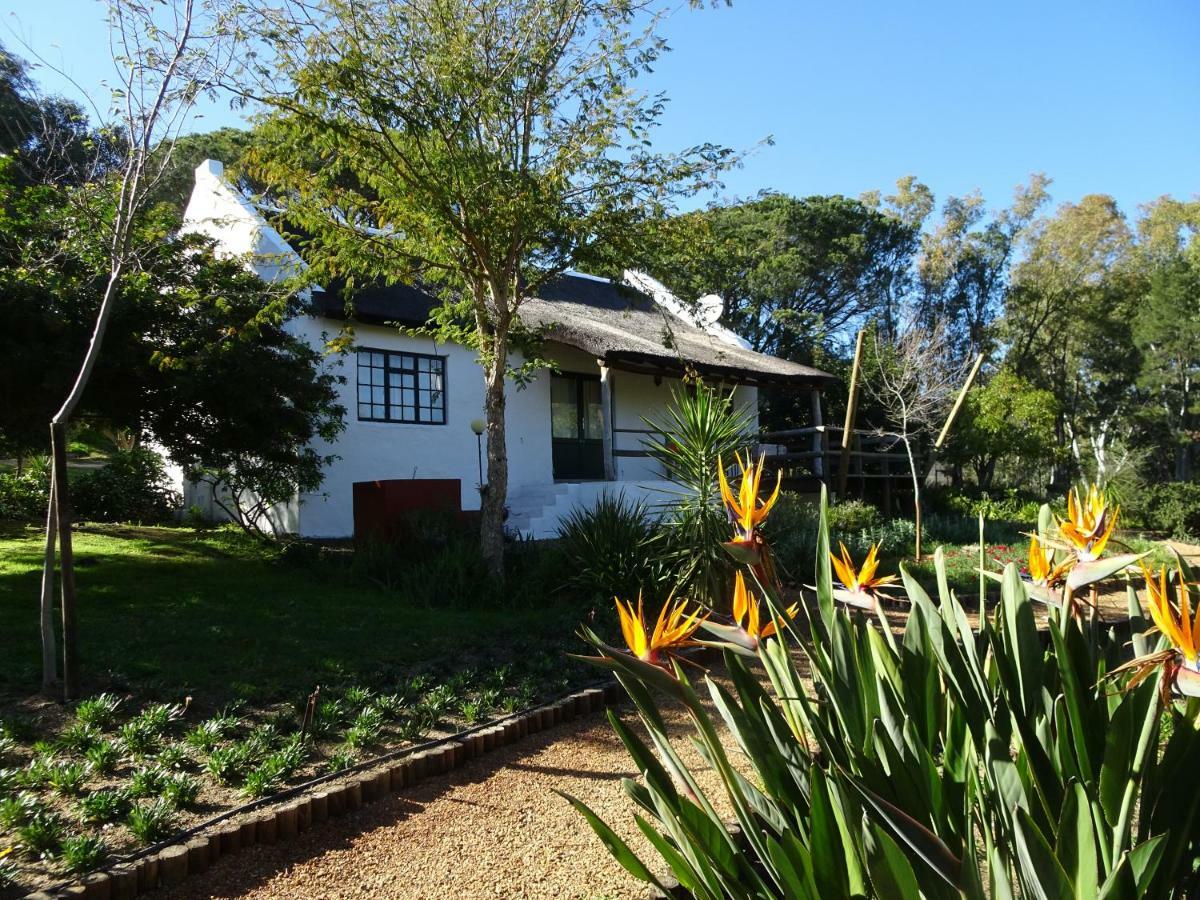 Mooi Bly Villa Paarl Exterior foto