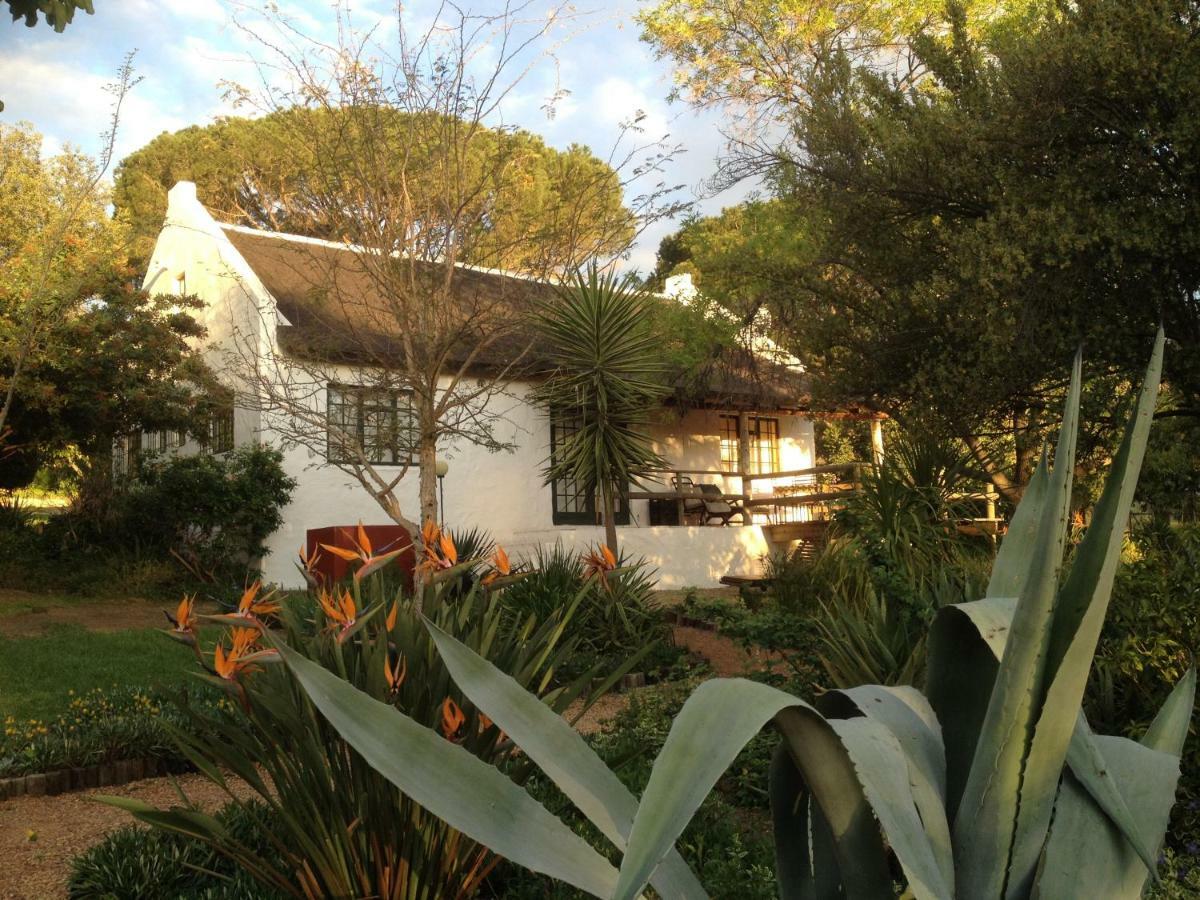 Mooi Bly Villa Paarl Exterior foto